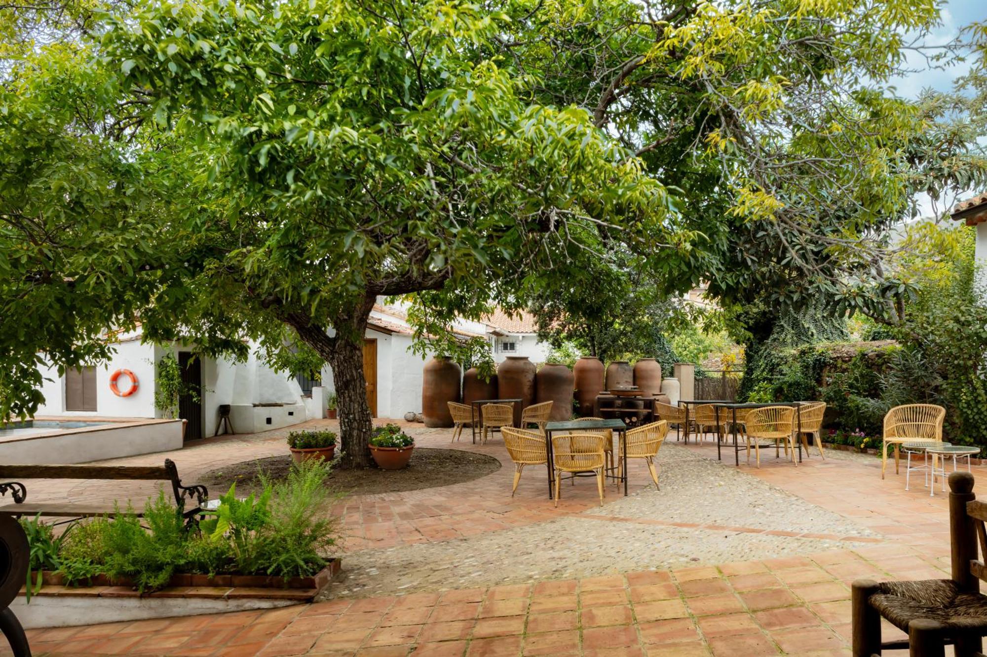 Apartamentos Turisticos El Patio Del Nogal กวาดาลูเป ภายนอก รูปภาพ